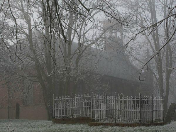 Wittewierum mist en vorst