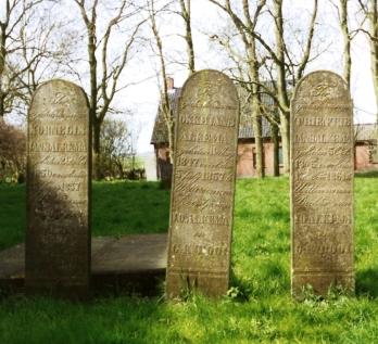 Wittewierum M-3t/m5 Kinderen Alkema - Graf M-3 is het linker graf op de foto