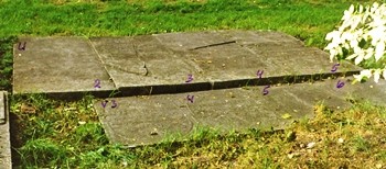 Wittewierum U2 t/m U5 fam. Wijpkes - De U-graven betreffen de achterste rij graven op de foto